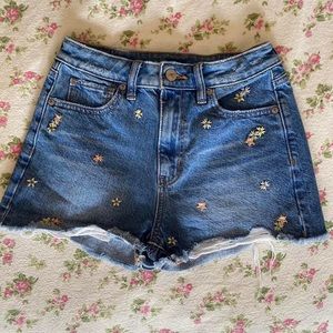 00 American Eagle Floral Embroidered Jean Shorts